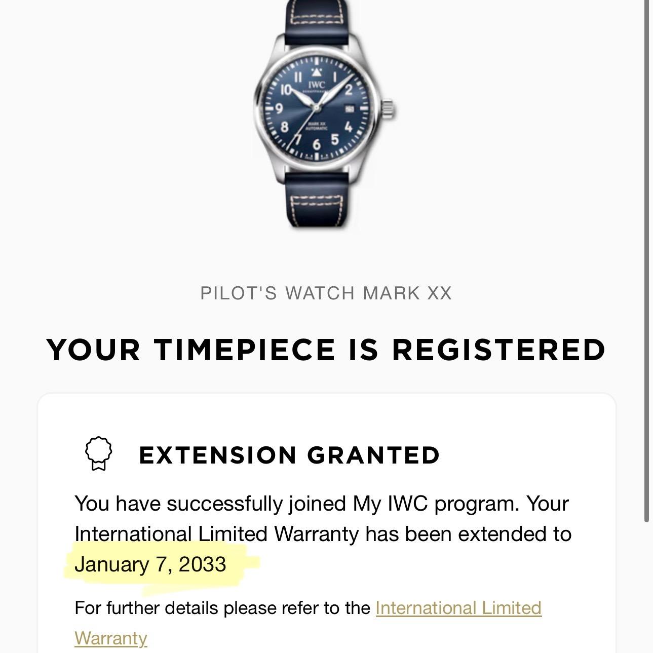 IWC Pilot's Watch Mark XX IW328203 40mm Steel Blue Dial Box Papers 2025