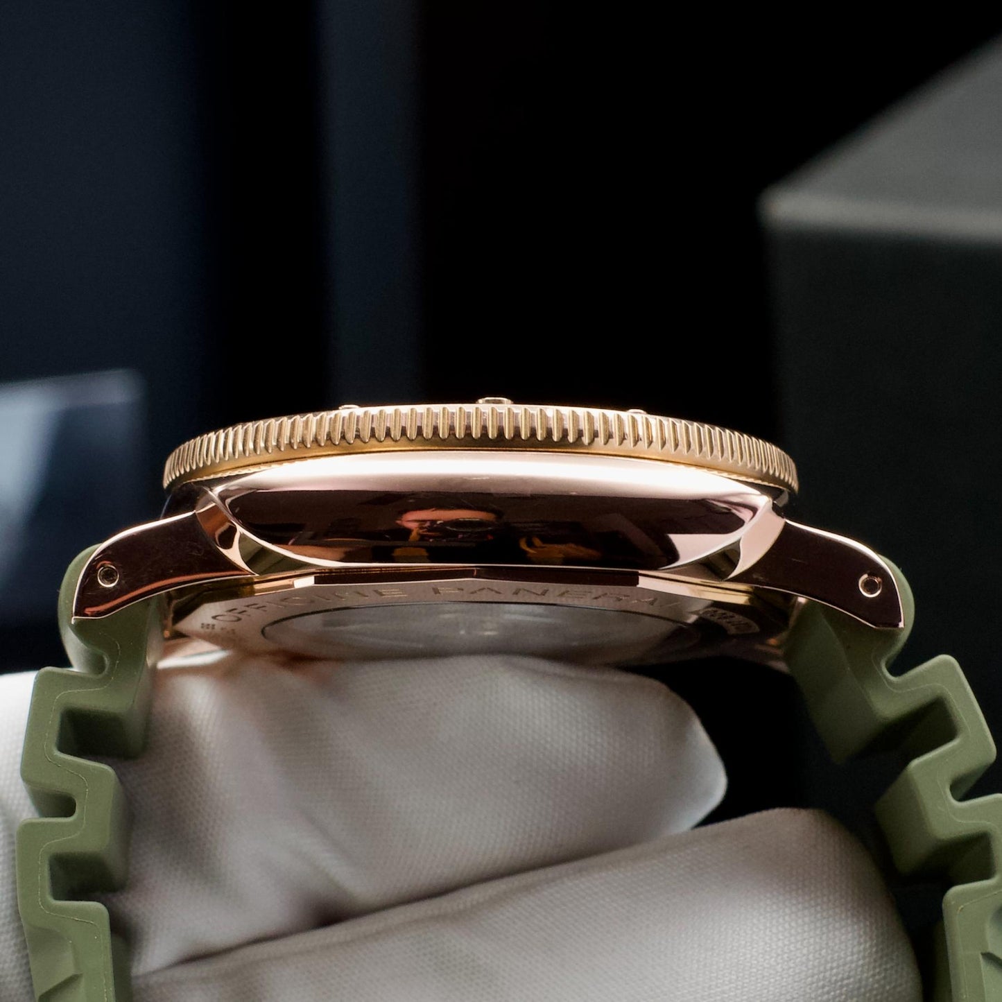 Side view of PAM00974