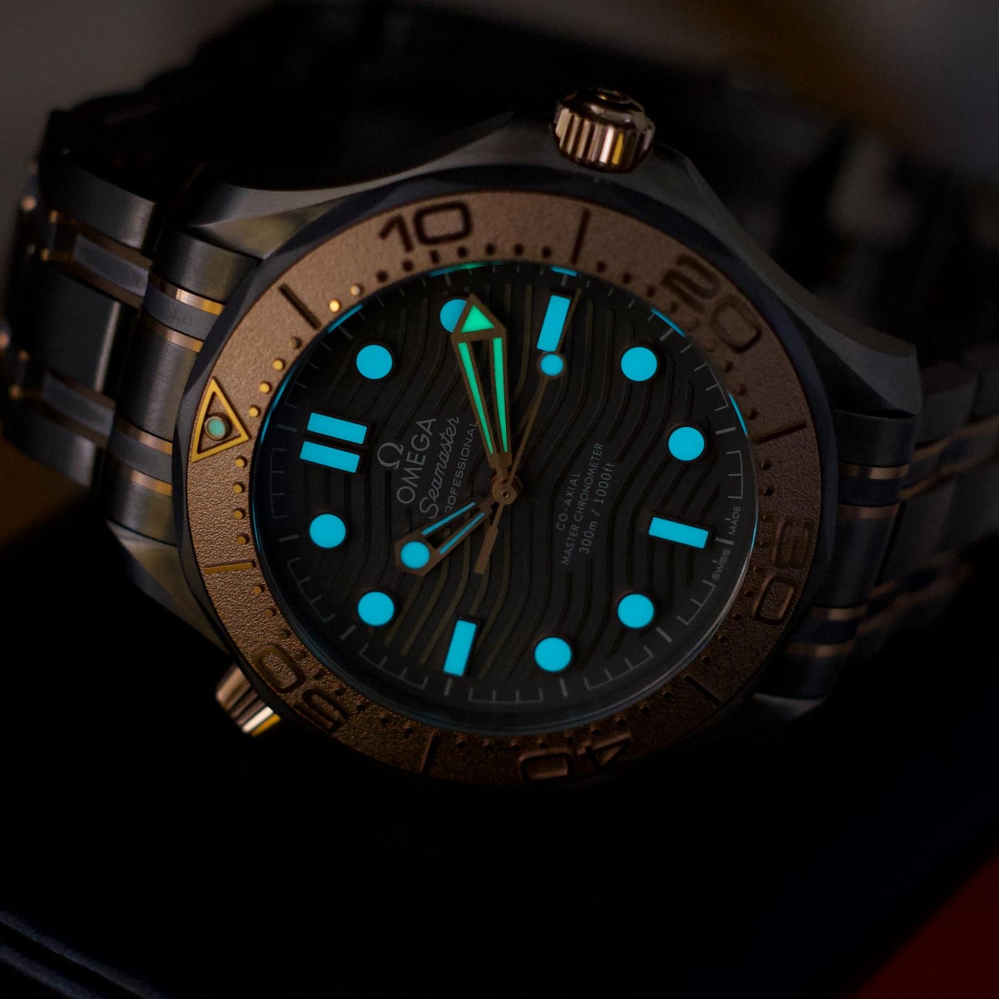 Omega Seamaster Diver 300M 25th Anniversary Limited Edition 42mm Titanium Box Papers