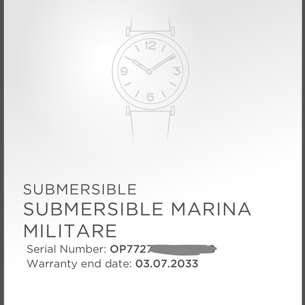 Panerai Submersible Marina Militare 3 Days Green Dial Stainless Steel PAM01697
