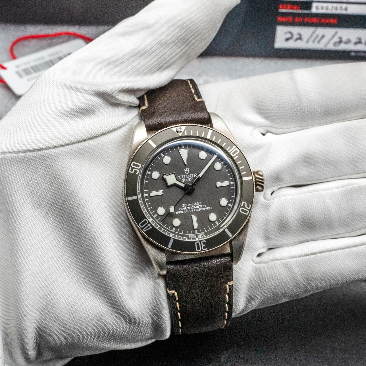 Tudor Black Bay 58 925 M79010SG-0001 39mm