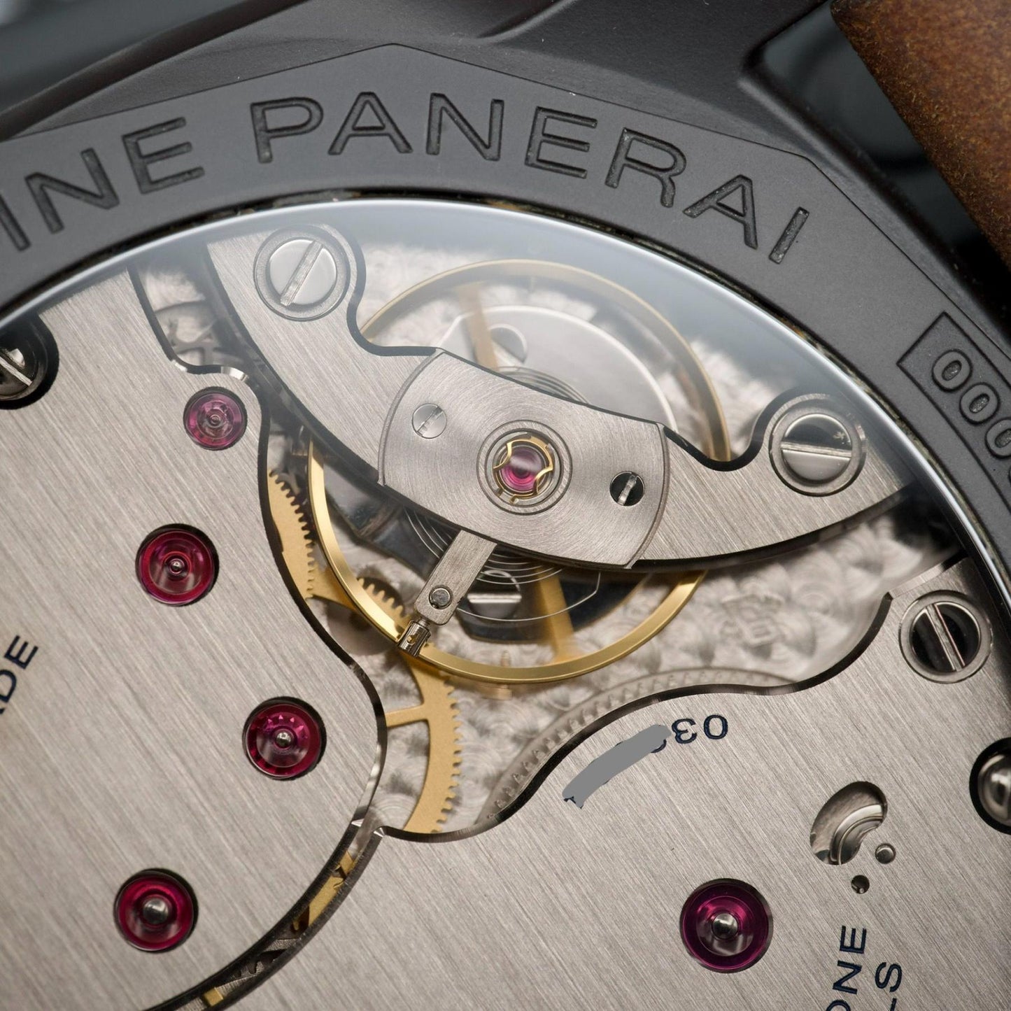 PAM00375 Close Up