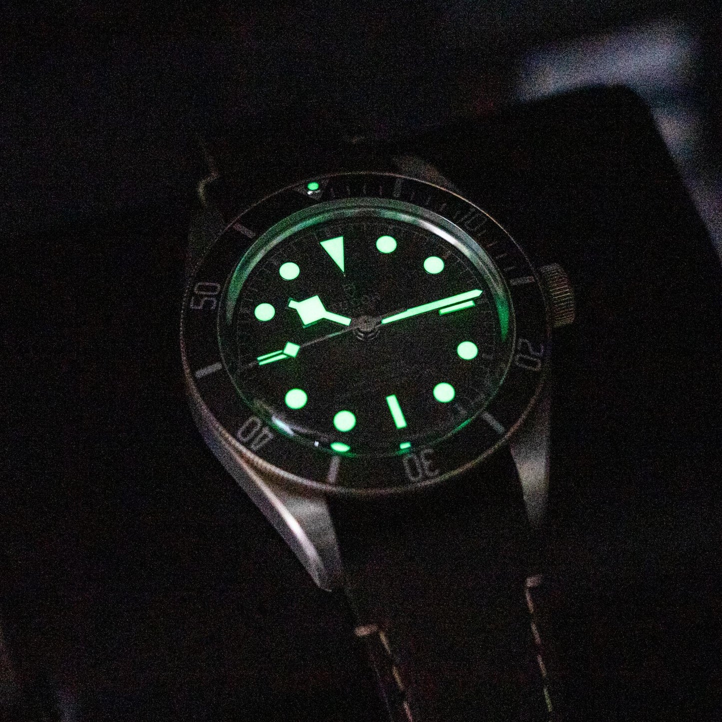 Tudor Black Bay 58 925 M79010SG-0001 39mm Lumes