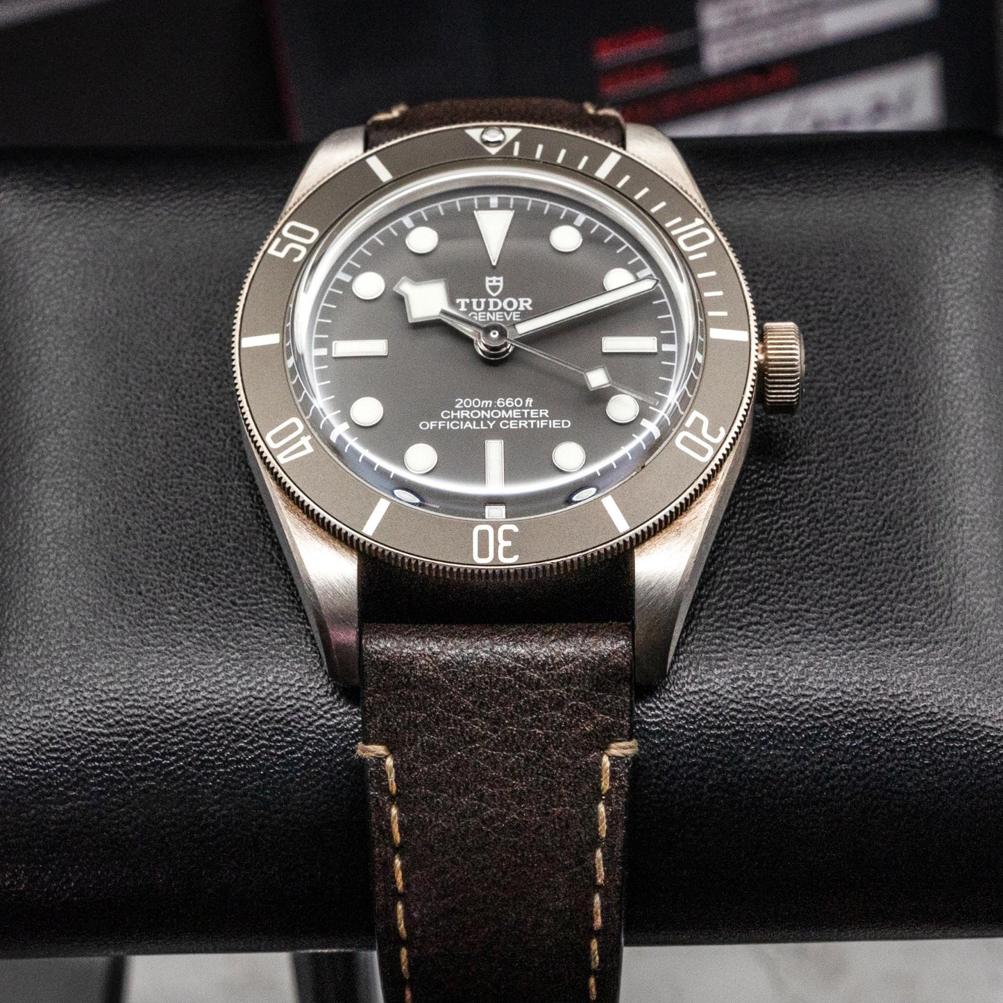 Tudor Black Bay 58 925 M79010SG-0001 39mm