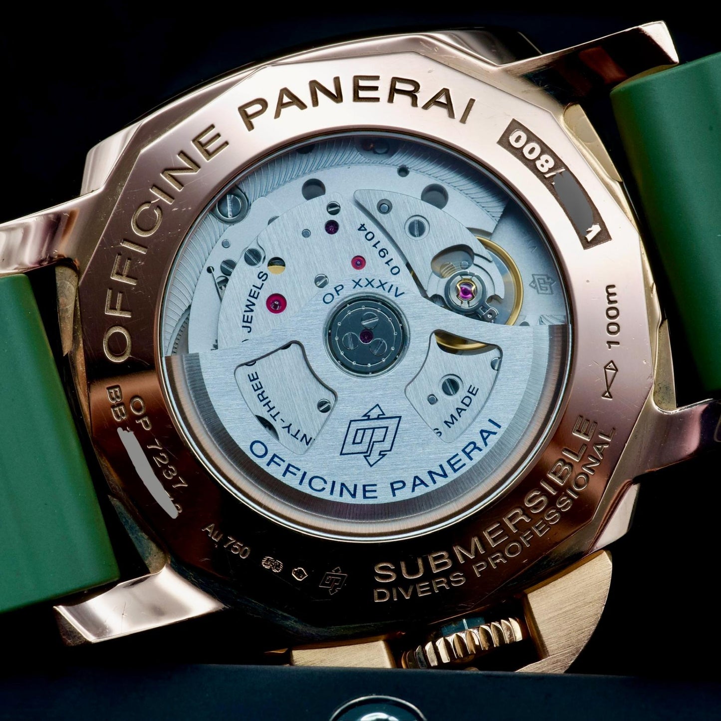 movement of PAM00974