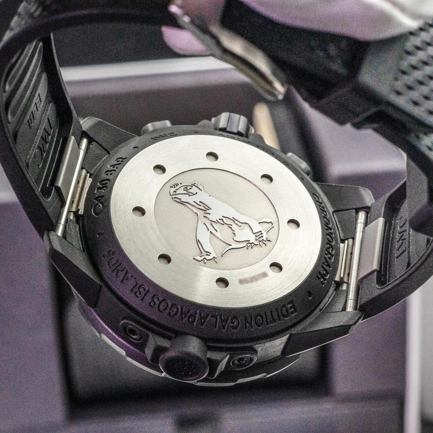 IWC Aquatimer Chronograph Galapagos Islands IW379502 Caseback
