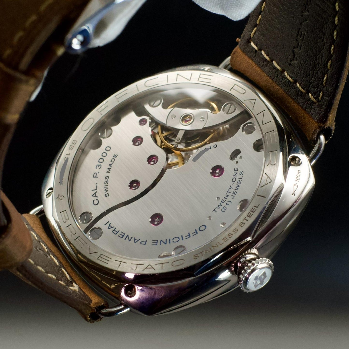 PAM00424 movement