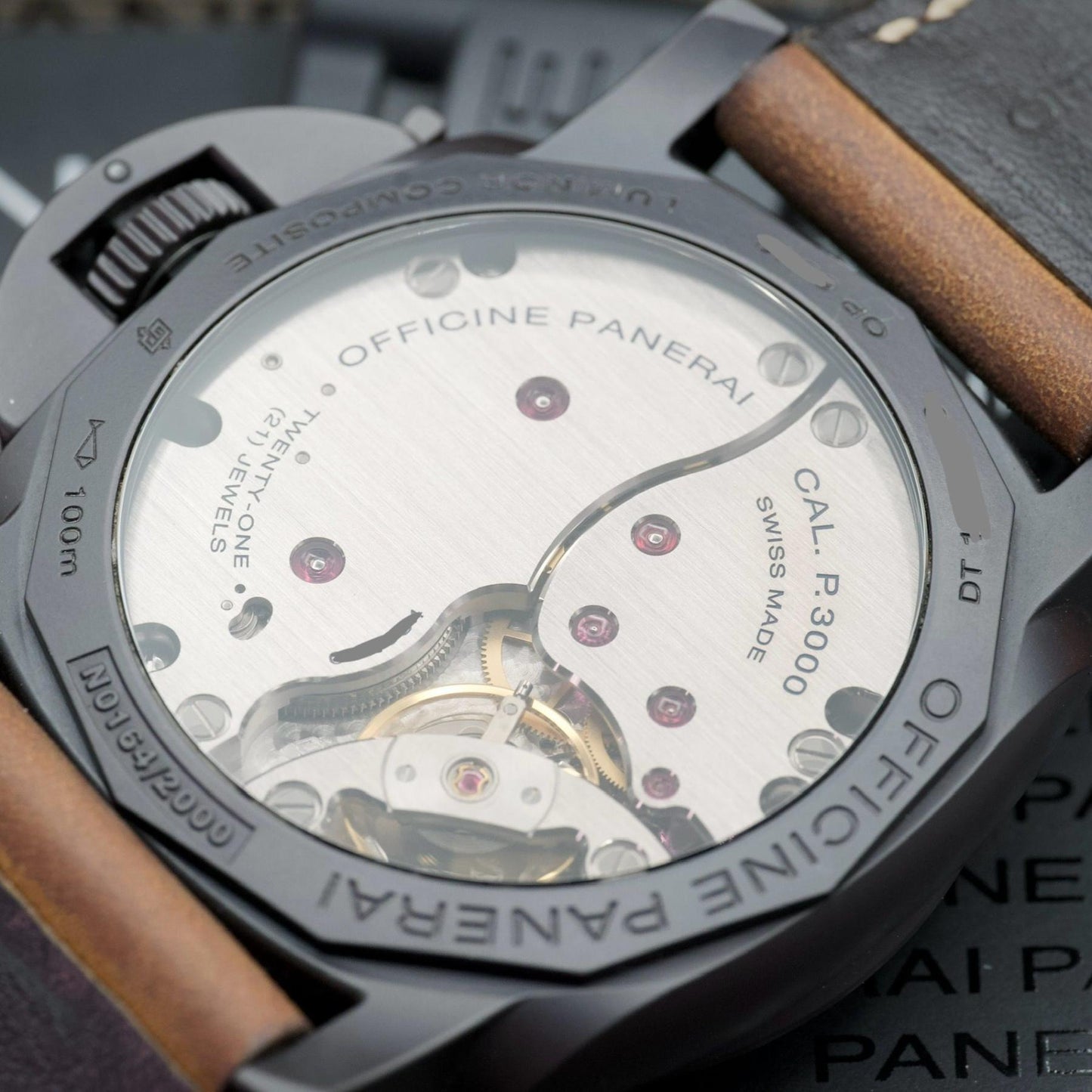 PAM00375 Movement